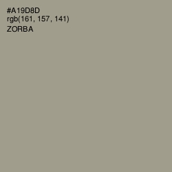 #A19D8D - Zorba Color Image