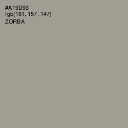 #A19D93 - Zorba Color Image