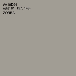 #A19D94 - Zorba Color Image