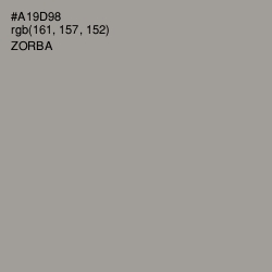#A19D98 - Zorba Color Image