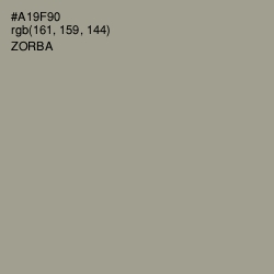 #A19F90 - Zorba Color Image