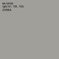 #A19F99 - Zorba Color Image