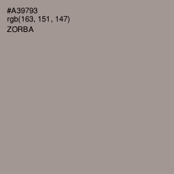 #A39793 - Zorba Color Image