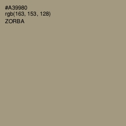 #A39980 - Zorba Color Image