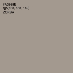 #A3998E - Zorba Color Image