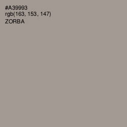 #A39993 - Zorba Color Image