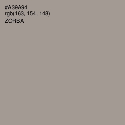 #A39A94 - Zorba Color Image