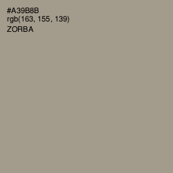 #A39B8B - Zorba Color Image