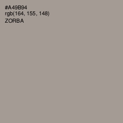 #A49B94 - Zorba Color Image