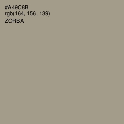 #A49C8B - Zorba Color Image