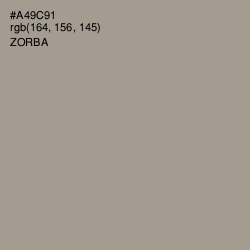 #A49C91 - Zorba Color Image