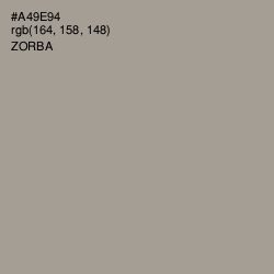 #A49E94 - Zorba Color Image
