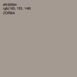 #A59994 - Zorba Color Image
