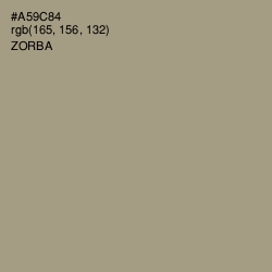 #A59C84 - Zorba Color Image