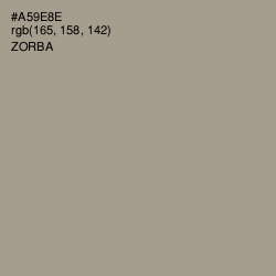 #A59E8E - Zorba Color Image