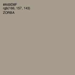 #A69D8F - Zorba Color Image