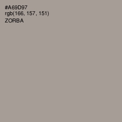 #A69D97 - Zorba Color Image