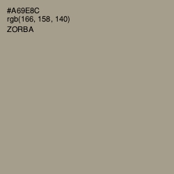 #A69E8C - Zorba Color Image