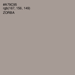 #A79C95 - Zorba Color Image