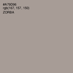 #A79D96 - Zorba Color Image