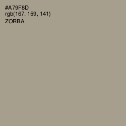 #A79F8D - Zorba Color Image