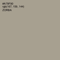 #A79F90 - Zorba Color Image