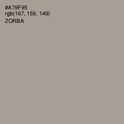 #A79F95 - Zorba Color Image