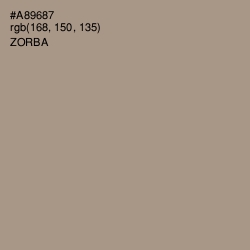 #A89687 - Zorba Color Image