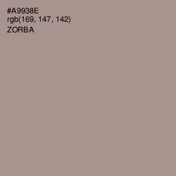 #A9938E - Zorba Color Image