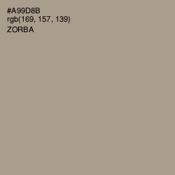 #A99D8B - Zorba Color Image