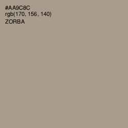 #AA9C8C - Zorba Color Image
