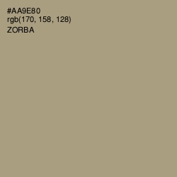 #AA9E80 - Zorba Color Image