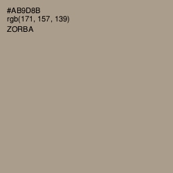 #AB9D8B - Zorba Color Image