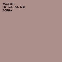 #AC8E8A - Zorba Color Image