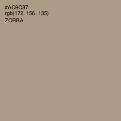 #AC9C87 - Zorba Color Image