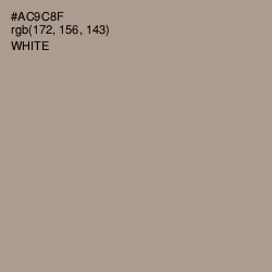 #AC9C8F - Zorba Color Image
