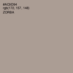 #AC9D94 - Zorba Color Image