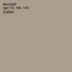 #AC9E8F - Zorba Color Image