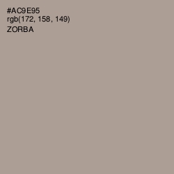 #AC9E95 - Zorba Color Image