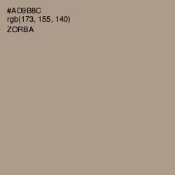 #AD9B8C - Zorba Color Image