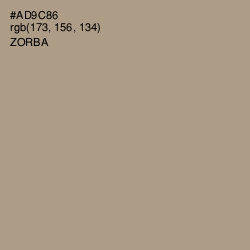 #AD9C86 - Zorba Color Image