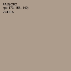 #AD9C8C - Zorba Color Image