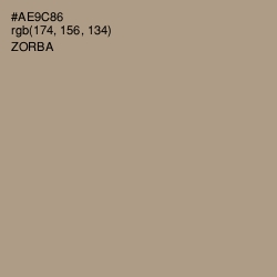#AE9C86 - Zorba Color Image