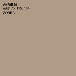 #AF9B86 - Zorba Color Image