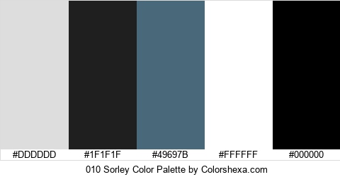 010 Sorley Color Colors Logo