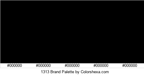 1313 Brand Colors Logo