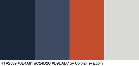 #1A2639 #3E4A61 #C24D2C #D9DAD7 Colors Logo
