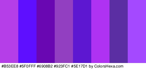 #B53EE8 #5F0FFF #6908B2 #923FC1 #5E17D1 #AF32F2 #5B2FA3 #A449FF Colors Logo
