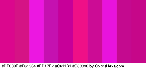 #DB088E #D61384 #ED17E2 #C611B1 #C60098 #EF1087 #CC0C95 #E814DD #C40B90 #C6078A Colors Logo