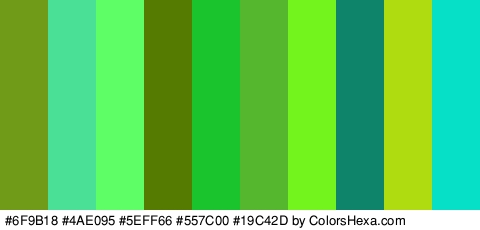 #6F9B18 #4AE095 #5EFF66 #557C00 #19C42D #54B72D #73F41D #0E846B #AFDB11 #06E0C7 Colors Logo